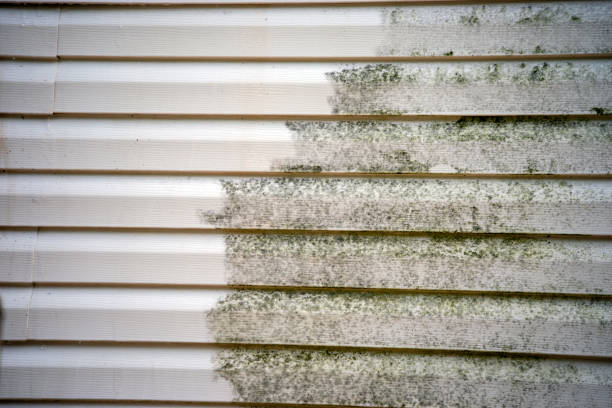 Demolition Debris Removal in West Palm Beach, FL