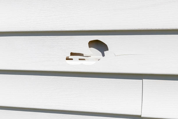 Best Same-Day Junk Removal Services  in West Palm Beach, FL
